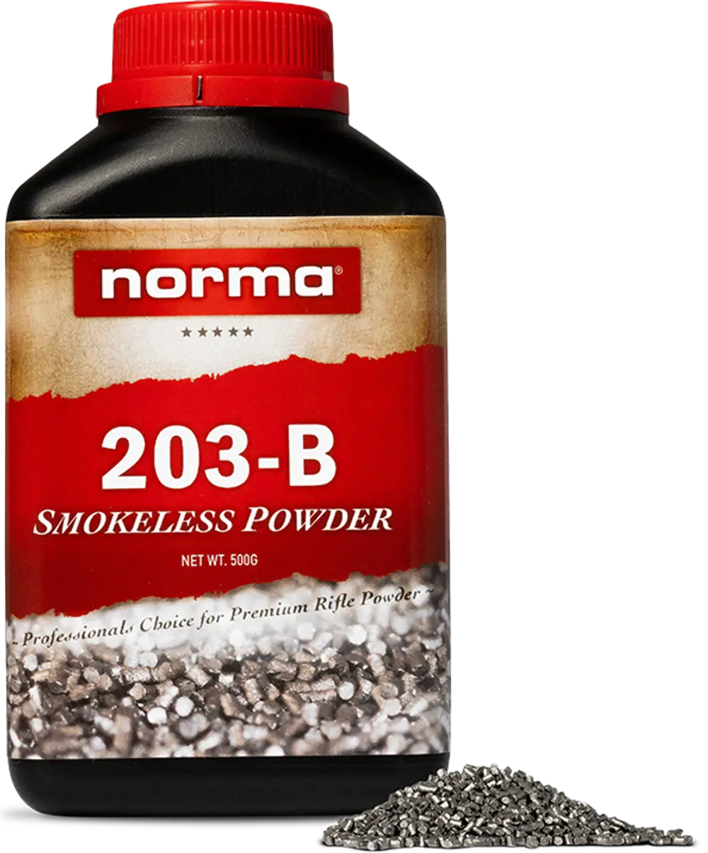 Norma 203B