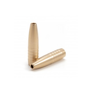Solid Brass Bullet .308-155 H 100 St.
